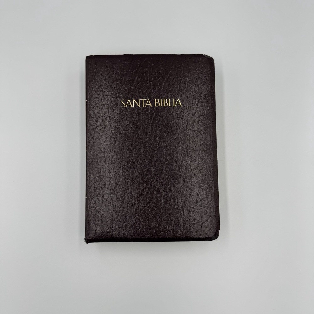 Santa Biblia Holy Bible RVR 1960 KJV  Reina Valera‎ Holman